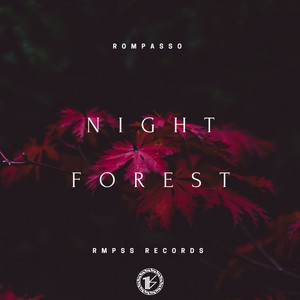 Night Forest by Rompasso