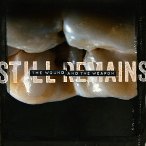 The Wound and the Weapon by Still Remains, The Red Chord