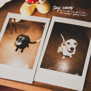 (how can i) take it one step at a time when everything is happening at once? by Tiny Voices