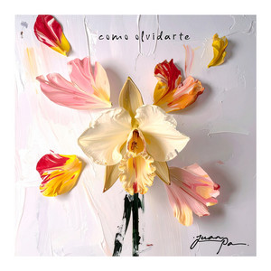 Como Olvidarte by JuanPa