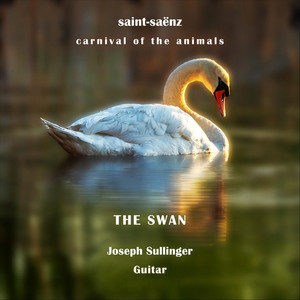 The Carnival of the Animals, R. 125: XIII. The Swan - Single by