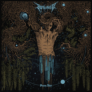 Nihil by Boötes Void