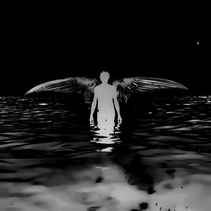 Cover art: WINGS