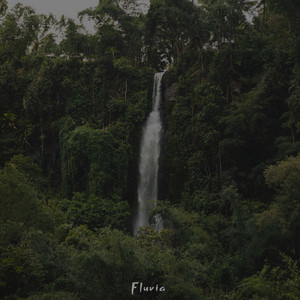 Flow & Flow by Fluvia