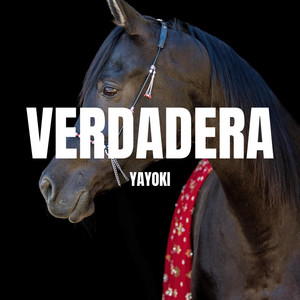 verdadera by yayoki