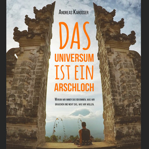 Das Universum ist ein Arschloch (Warum wir immer das bekommen, was wir brauchen und nicht das, was wir wollen.)