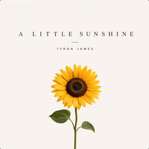 A Little Sunshine by Tyron James