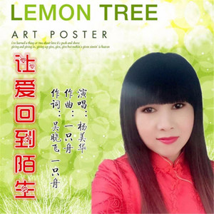 杨美华 - 让爱回到陌生
