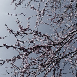 Trying to Try by Jayne Kelli
