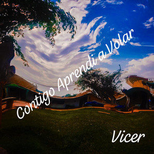 Contigo Aprendi a Volar by Vicer