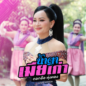 น้ำตาเมียเก่า - Cover Version by Dok Or Toong Tong