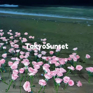 TokyoSunset by 鹏少