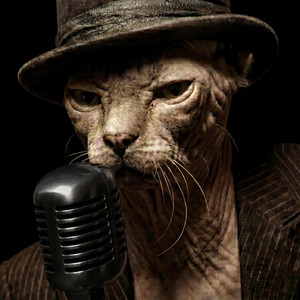 One More Mile to Somewhere Else by Uncle Sams Blues, Click the Cat