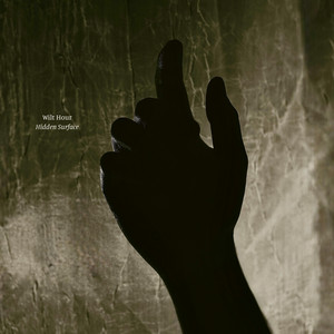 Hidden Surface by Wilt Hour