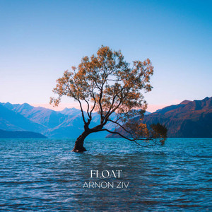Float by Arnon Ziv