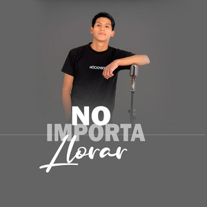 No Importa Llorar