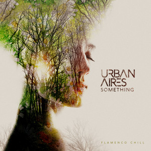 Something - Flamenco Chill Mix by Urban Aires