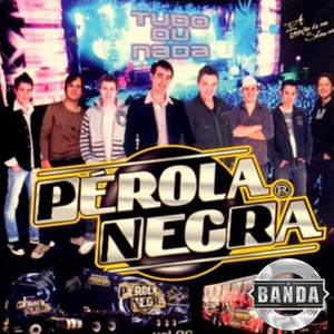 Jóia Falsa by Banda Pérola Negra, Bandas do Sul