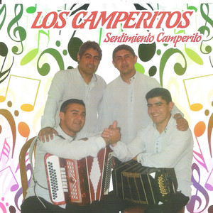 Los Camperitos poster