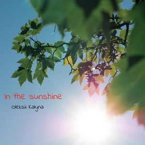 In the sunshine