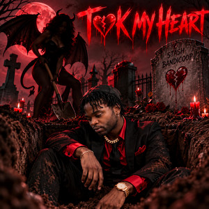 Took My Heart by Stash Bandicoop, Undefyned Flo