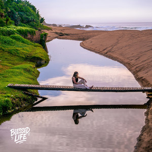 BLESSED LIFE by Dan Shaw