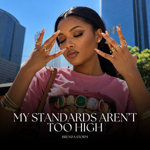 My Standards Aren't Too High by Brenda Storm