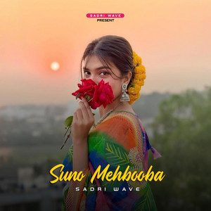 Sadri Wave - Suno Mehbooba 2.0