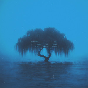 it comes in waves by unknown self