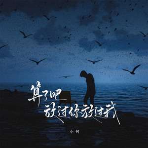 算了吧 放过你放过我（DJ俊海版） by 花落组合
