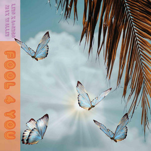 Fool 4 You by Lienz, Max Wallin'