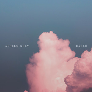 Caelo by Anselm Grey