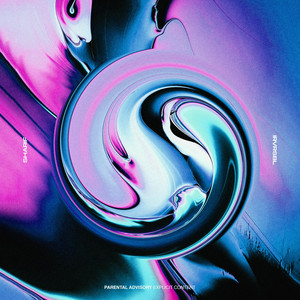 IRVRSBL cover
