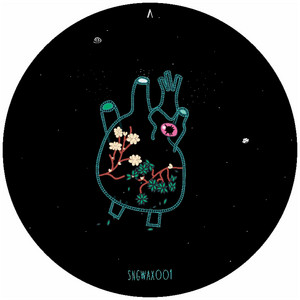 Various Artists — VA Sngwax.01 (2026)