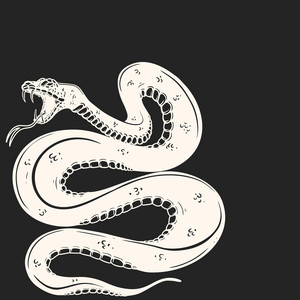 Xmns - Serpente