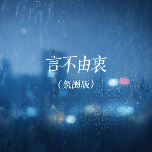 言不由衷（氛围版） by 大头针