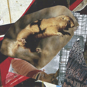 Portada de Jasper