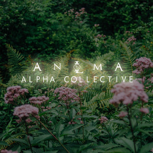 Alpha Collective