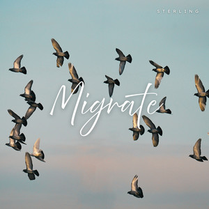 Migrate - Radio Edit by Sterling
