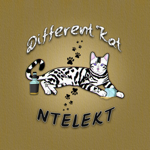 Portada de Different Kat