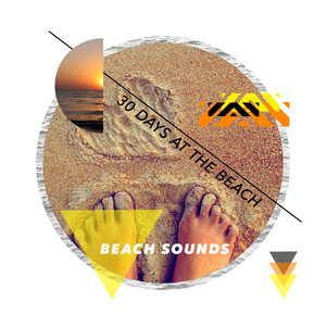 30 Days at the Beach album