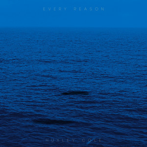 Every Reason by Huxley Cole