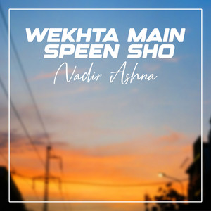 Nadir Ashna - Wekhta Main Speen Sho