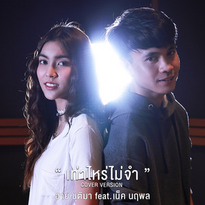 เท่าไหร่ไม่จำ (feat. เน็ค นฤพล) - Cover Version by ฮาย ชุติมา, เน็ค นฤพล