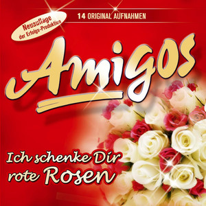 Amigos - Der Trucker