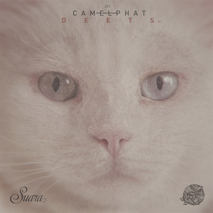 Lizard King by Camelphat