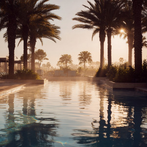 Just Vibes by Chris Airwolf