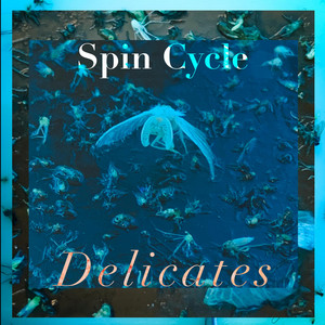 Delicates
