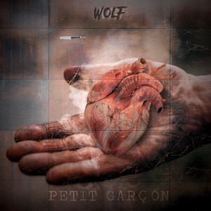 Portada de Petit garçon