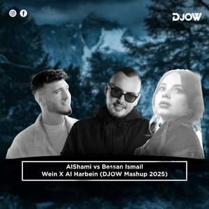 Wein X Al Harbein (DJOW Mashup 2025) by DJOW